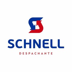 Despachante Schnell, cliente WMD Mídias